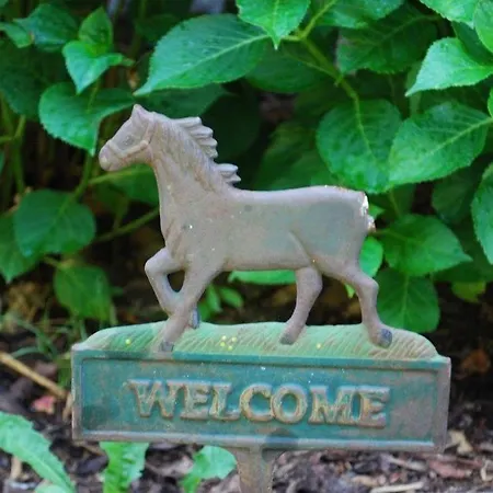 Ruhige-ferienwohnung-auf-pferdehof Apartament