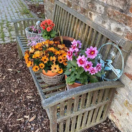 Ruhige-ferienwohnung-auf-pferdehof Apartament