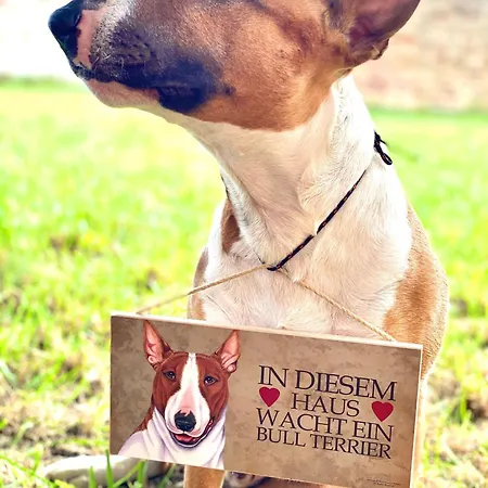 Ruhige-ferienwohnung-auf-pferdehof Apartament Dreetz