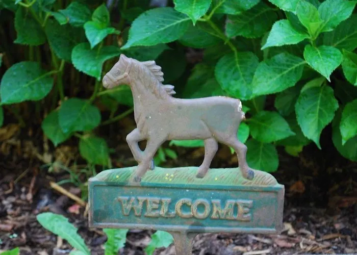 Ruhige-ferienwohnung-auf-pferdehof Апартаменты