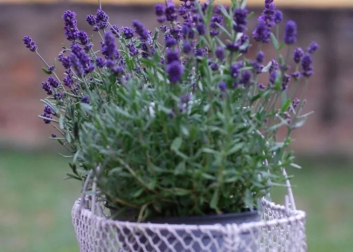 Ruhige-ferienwohnung-auf-pferdehof