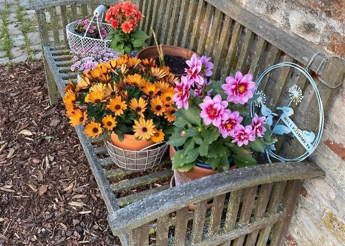 Ruhige-ferienwohnung-auf-pferdehof Апартаменты