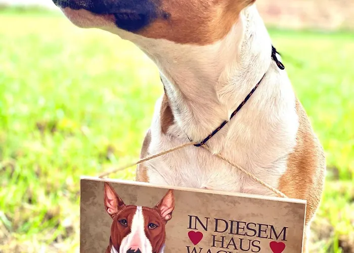 Ruhige-ferienwohnung-auf-pferdehof Апартаменты Dreetz